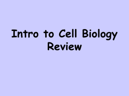 Intro to Cell Biology Review