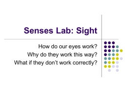 Senses Lab: Sight - 7th Grade Badger Team Website