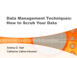 Data Management Techniques: How to Scrub Your Data