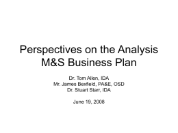 Perspectives on the Analysis M&S Business Plan