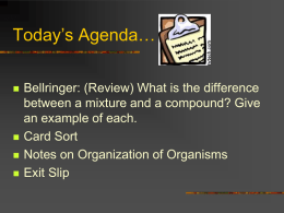 The Organization of an Organism