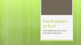The Problem of Fruit
