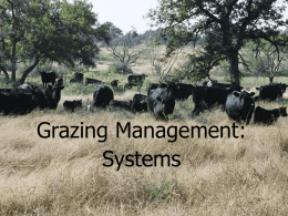 5 Grazing Systems