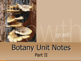 Botany Unit Notes - Mr. Tate's Biology Site