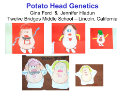 Potato Head Genetics Gina Ford & Jennifer Hladun Twelve