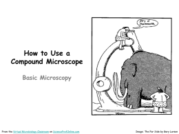 Basic Microscopy Lab PowerPoint