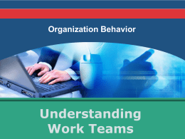 Organizational Behavior 11e