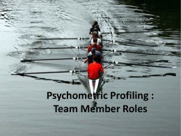Team Member Roles Profiling