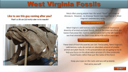 West Virginia Fossils