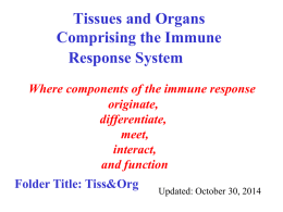 Tissues and Organs Comprising the Immune Response System