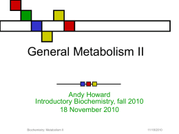 General Metabolism II - Illinois Institute of Technology