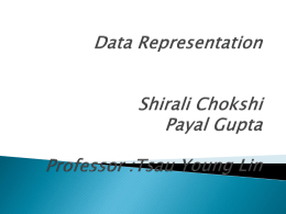 Data Representation Shirali Chokshi Payal Gupta Professor