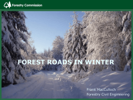FOREST ROADS IN WINTER