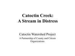 Catoctin Creek: A Stream in Distress