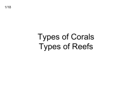 Types of Corals Types of Reefs