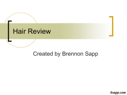 Hair Review - Sapp's Instructional Websites