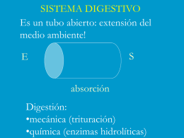 Biol 155 Human Physiology - Universidad Nacional de Quilmes