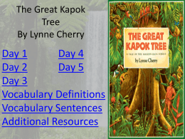 The Great Kapok Tree Vocabulary