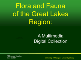 Flora and Fauna of the Great Lakes Region: