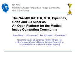 National Alliance for Medical Image Computing: Namic