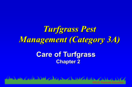 Care of Turfgrass - Integrated Pest Management Program