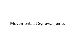 Movements at Synovial joints