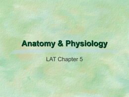 Anatomy And Physiology - AZ Branch AALAS Homepage