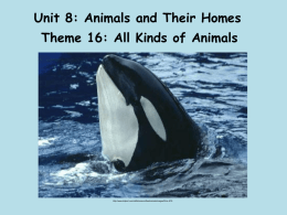 Unit: Animals and Their Homes