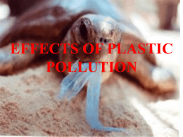 EFFECTS OF PLASTIC POLLUTION