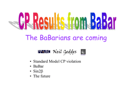 BaBar - Physics