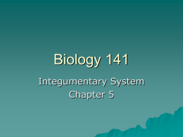 Biology 141 - Virginia Community College System