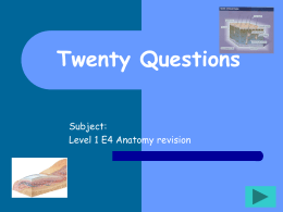 Twenty Questions