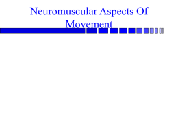 Neuromuscular Aspects Of Growth & Movement