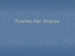 Forensic Hair Analysis - Grandview Independent School District