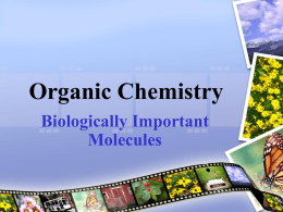 Organic Chemistry - Mrs. Sills' Science Site
