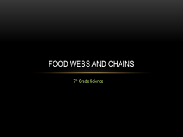 Food Webs and Chains