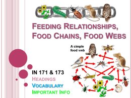 Feeding Relationships, Food Chains, Food Webs