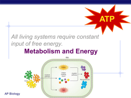 Metabolism and Energy