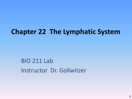 Chapter 22: Lymphatic System - Greenville Technical College