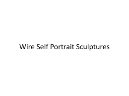 Wire sculpturesx - Amazon Web Services