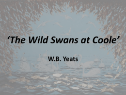 The Wild Swans at