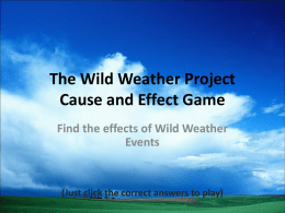 The Wild Weather Project Cause and Effect