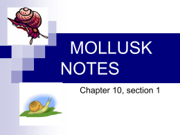 WORM NOTES - Mahtomedi Middle School Geography