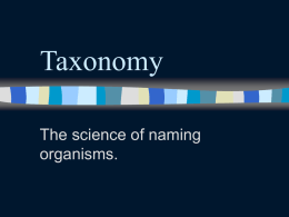 Taxonomy - Edublogs