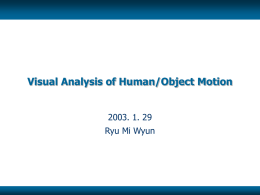 Visual Analysis of Human/Object Motion