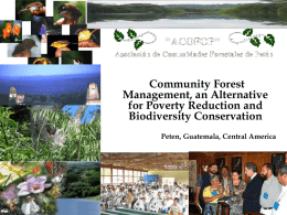 Diapositiva 1 - Rainforest Alliance
