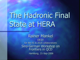 Frontiers in QCD: The Hadronic Final State at HERA