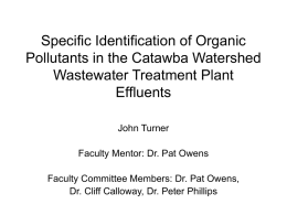 Specific Identification of Organic Pollutants in the