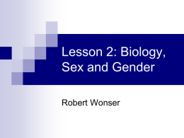 Lesson 1: Sociological Constructs and Theories