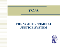 YOUTH CRIMINAL JUSTICE SYSTEM